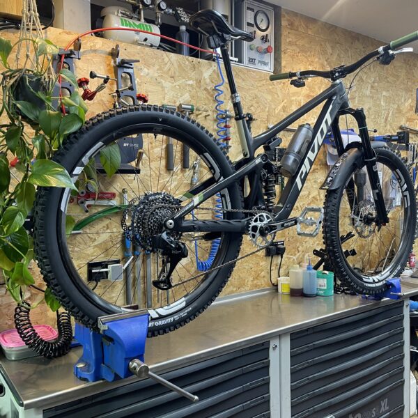 Pivot Switchblade V6 Custom